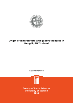 Origin of macrocrysts and gabbro-nodules in Hengill