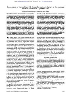 Enhancement of Murine Blast Cell Colony Formation