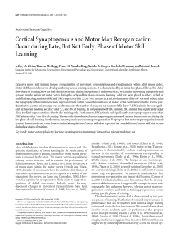 Cortical Synaptogenesis and Motor Map Reorganization Occur