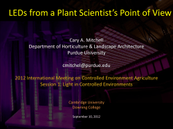 LEDs from a Plant Scientist`s Point of View