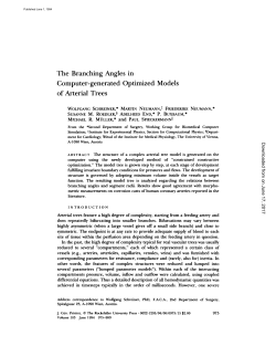 The Branching Angles in Computer-generated Optimized Models of