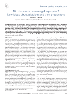 Did dinosaurs have megakaryocytes? New ideas about