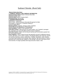 ROCK SALT MSDS