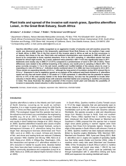Plant traits and spread of the invasive salt marsh grass, Spartina