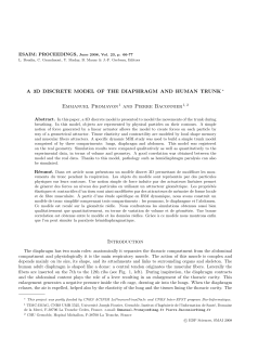 A 3D Discrete Model of the Diaphragm and Human Trunk