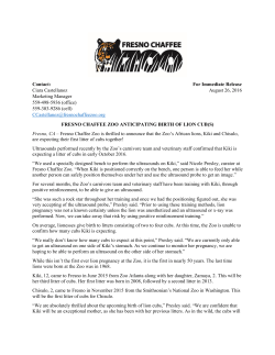 Pregnancy Announcement