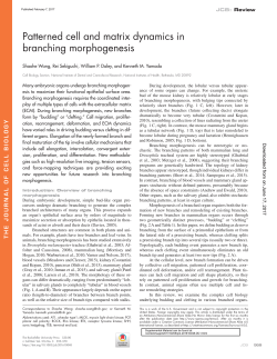 Ewald et al., 2008 - The Journal of Cell Biology