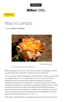 Macro Lenses | Macro Lens Guide from Nikon from Nikon