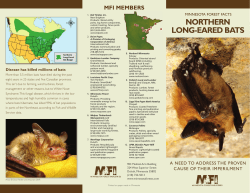 NORTHERN LONG
