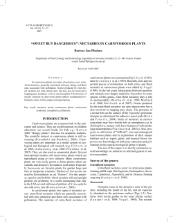 nectaries in carnivorous plants