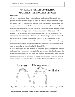 Air sacs and vocal fold vibrations: Implications for evolution of speech