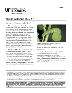 Florida Butterflies Sheet 1 1