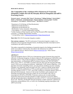 The Composition of the Arabidopsis RNA Polymerase II Transcript