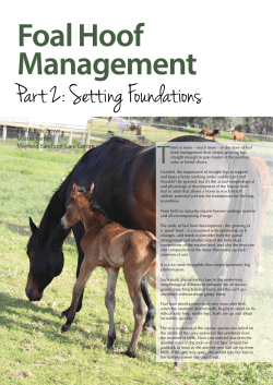 Part 2: Setting Foundations