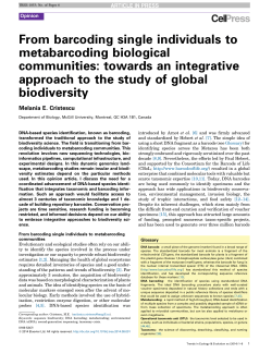 From barcoding single individuals to metabarcoding