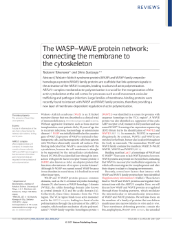 The WASP&ndash;WAVE protein network: connecting the membrane to the