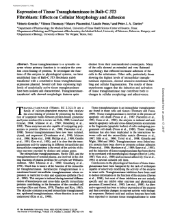Expression of Tissue Transglutaminase in Balb