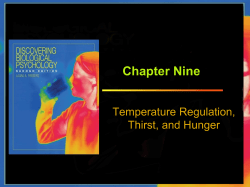 Chapter Nine