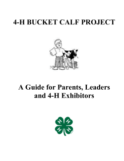 Bucket Calf Project Guide