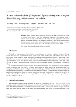 A new tintinnid ciliate (Ciliophora: Spirotrichea) from Yangtze River