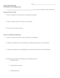 01 Chapter 3 Reading Guide - Student
