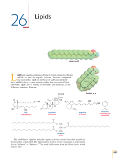 26 Lipids