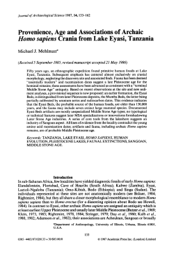 (1987) Provenience, age and associations of archaic Homo sapiens