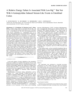 A Relative Energy Failure Is Associated With Low