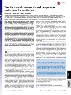 Termite mounds harness diurnal temperature