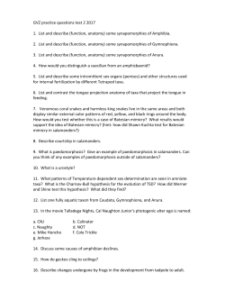 GVZ practice questions test 2 2017 1. List and describe (function