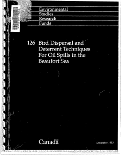 Bird dispersal and deterrent techniques for oil spills in the Beaufort