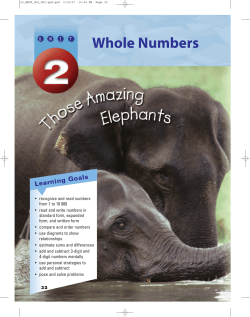 File - The Grade 4/5 Web