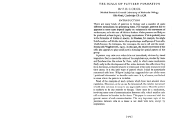 the scale of pattern formation