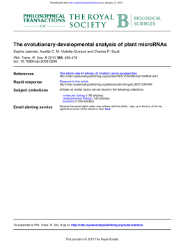 The evolutionary-developmental analysis of plant microRNAs