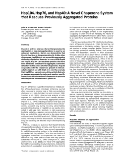 Hsp104, Hsp70, and Hsp40: A Novel Chaperone