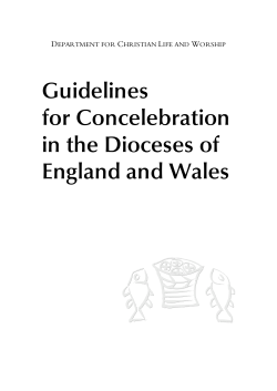 Guidelines for Concelebration in the Dioceses of