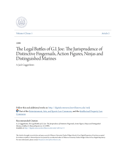The Legal Battles of GI Joe: The Jurisprudence