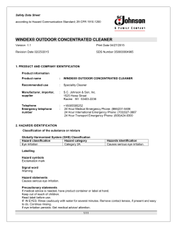 WINDEX&reg; OUTDOOR CONCENTRATED CLEANER