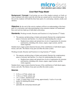lesson plan Coral Model