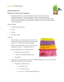 Phosphate Mining Video Paper Manipulative