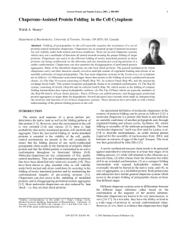 Chaperone-Assisted Protein Folding in the Cell Cytoplasm