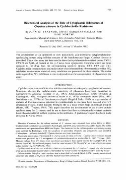 Biochemical Analysis of the Role of Cytoplasmic Ribosomes of