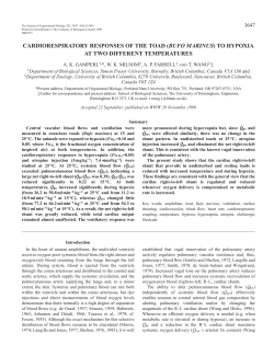 Central vascular blood flows in conscious toads