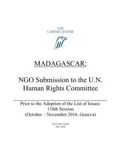 NGO Submission to the UN Human Rights Committee