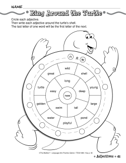 Ring Around the Turtle