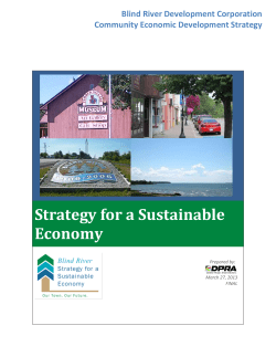 Strategy for a Sustainable Economy