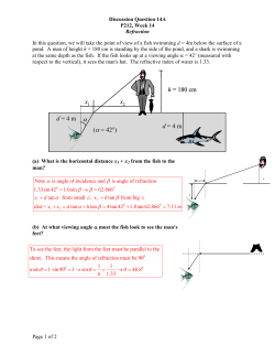 d = 4 mxxh = 180 cm d = 4 m &alpha;