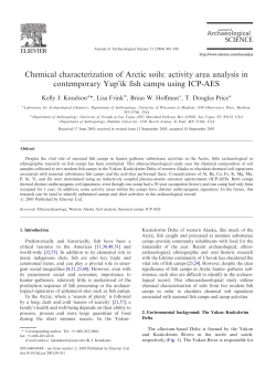as a PDF