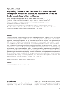 Exploring the Nature of the Intention, Meaning and Perception