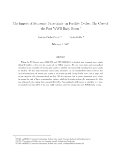 The Impact of Economic Uncertainty on Fertility